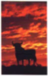 Stier