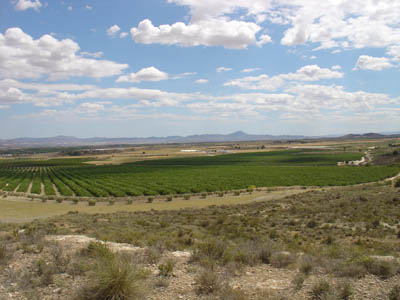 Corvera Lage