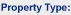 Property Name