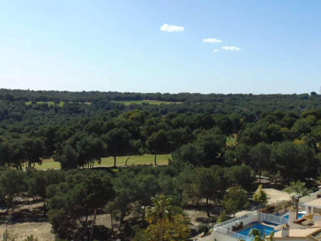 Penthouse with sea views over Las Ramblas Golf (16)