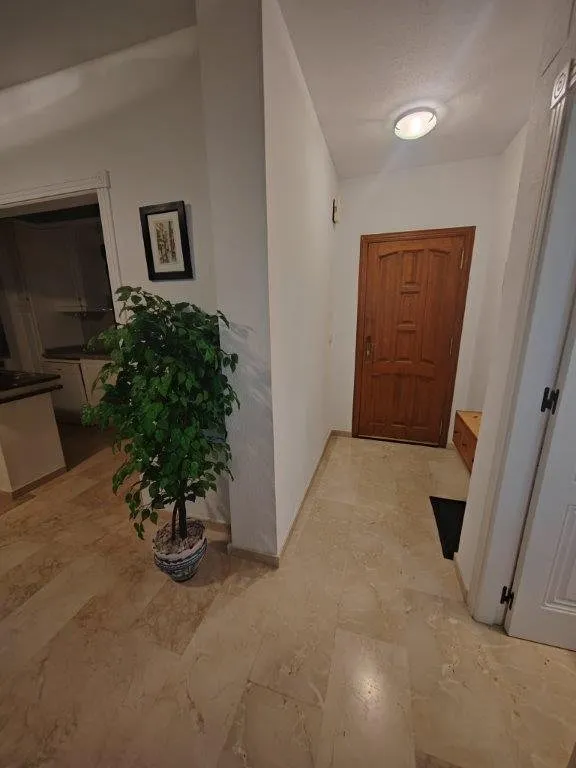 Penthouse with sea views in Las Ramblas (16)