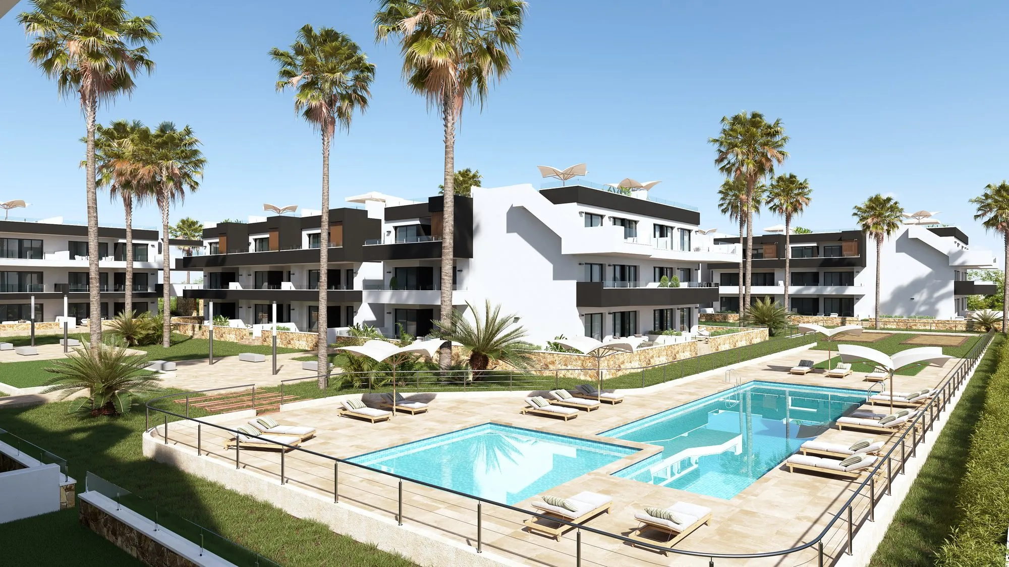 Render of the communal pool with sun loungers and palm trees, surrounded by the apartment blocks
